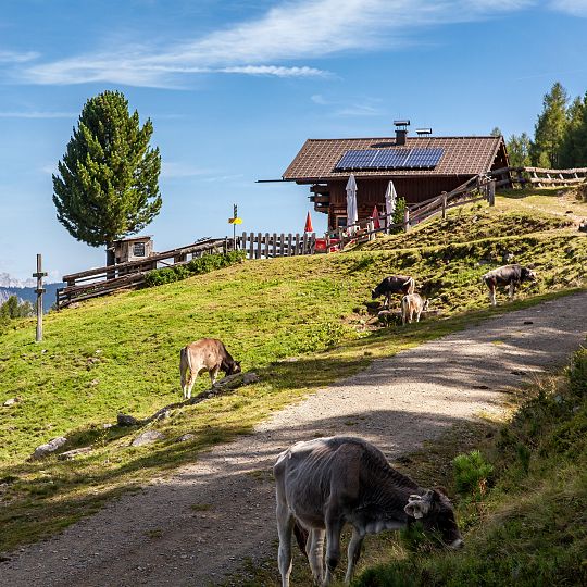 leineralm-01-cchriswalch-2